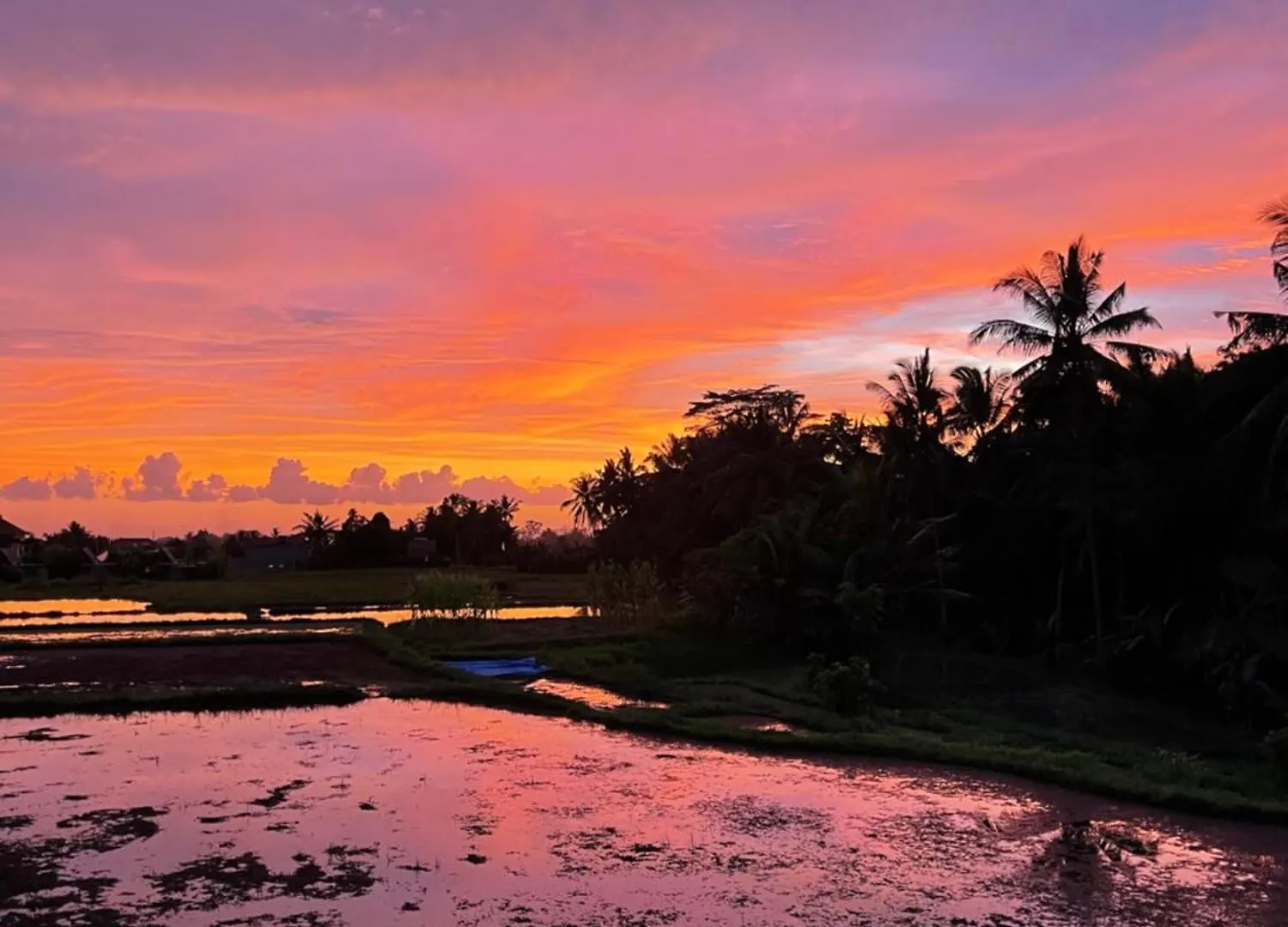 The Luxe Ubud